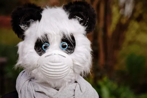 Bitcoza Kazino Pagalba